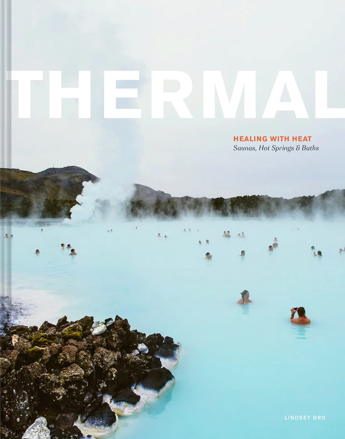 Cover of Thermal, by Lindsey Bro